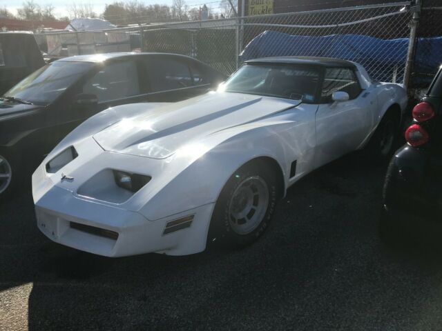 1981 Chevrolet Corvette - photo 9