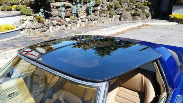 1981 Chevrolet Corvette T-TOP - photo 2