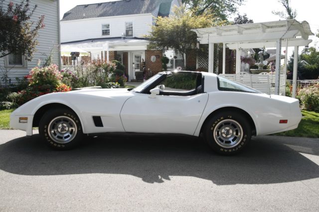 1981 Chevrolet Corvette - photo 13