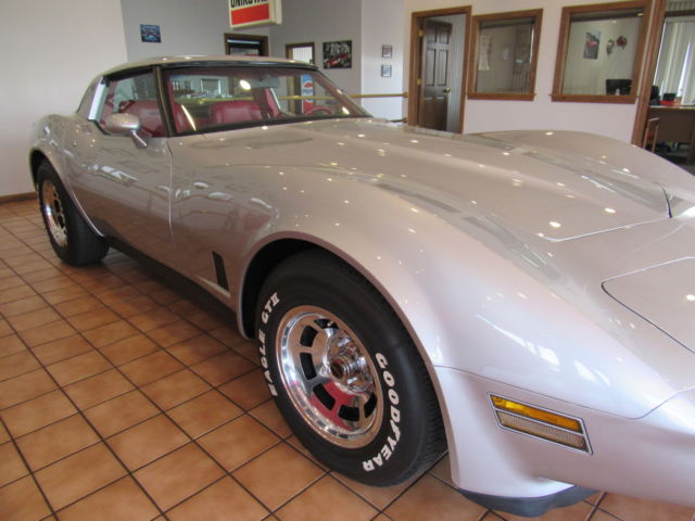 1981 Chevrolet Corvette Stingray - photo 9