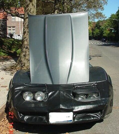 1981 Chevrolet Corvette Mirror T-Tops - photo 10