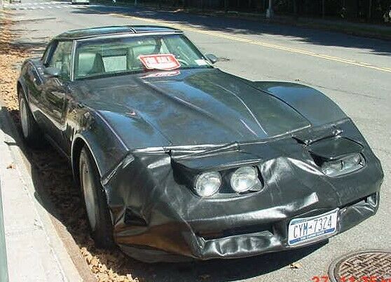 1981 Chevrolet Corvette Mirror T-Tops - photo 4