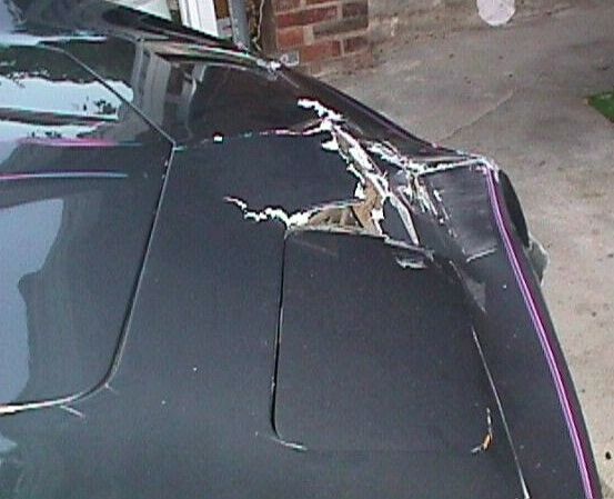 1981 Chevrolet Corvette Mirror T-Tops - photo 6