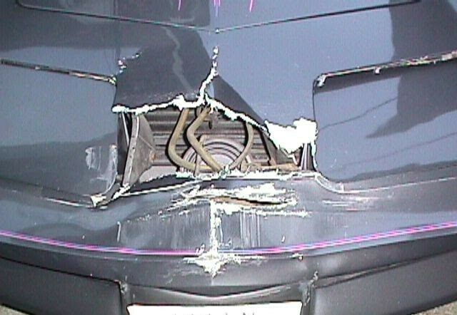 1981 Chevrolet Corvette Mirror T-Tops - photo 8