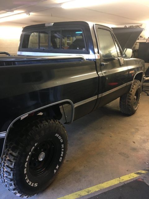 1981 Chevrolet C/K Pickup 1500 Silverado - photo 4