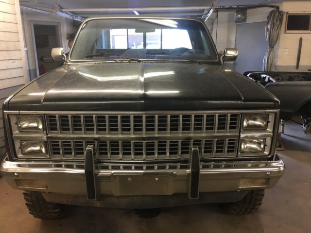 1981 Chevrolet C/K Pickup 1500 Silverado - photo 5
