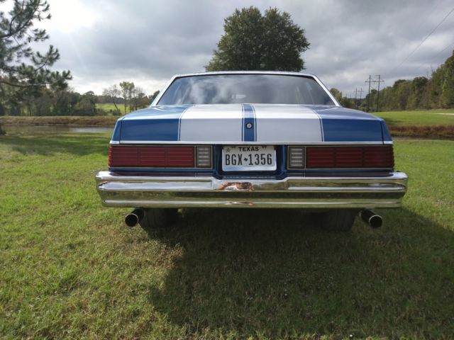 1981 Chevrolet Malibu Classic - photo 5