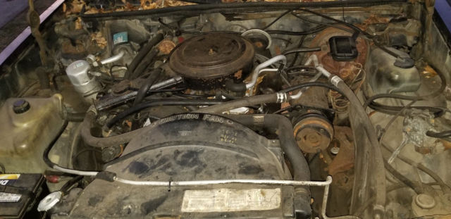 1981 Chevrolet Monte Carlo landau - photo 12