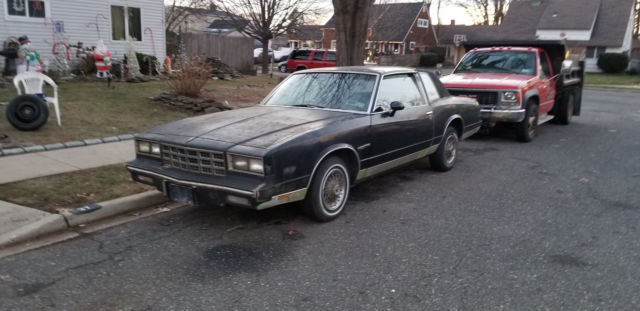 1981 Chevrolet Monte Carlo landau - photo 4