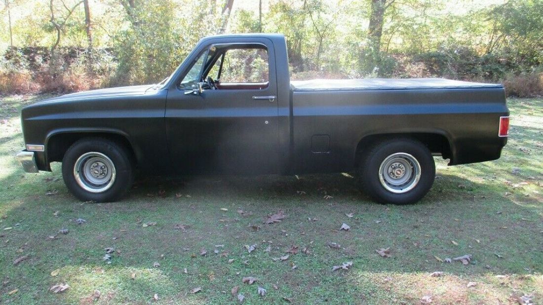 1981 Chevrolet C/K Pickup 1500 - photo 2