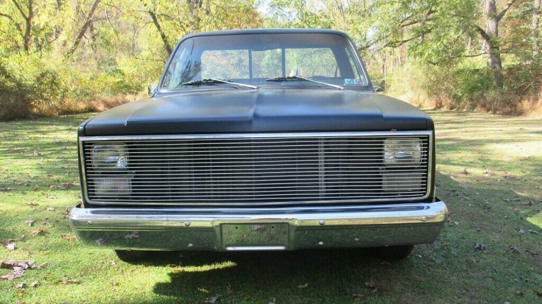 1981 Chevrolet C/K Pickup 1500 - photo 3