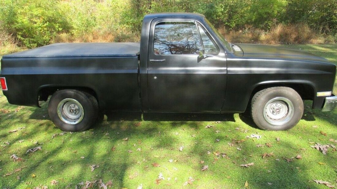 1981 Chevrolet C/K Pickup 1500 - photo 5