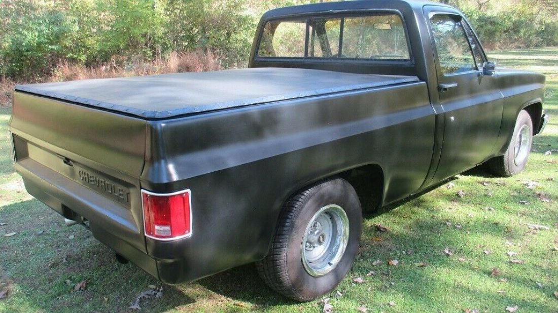 1981 Chevrolet C/K Pickup 1500 - photo 6