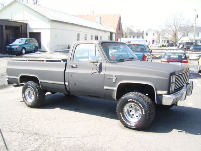 1981 Chevrolet C/K Pickup 1500 - photo 5