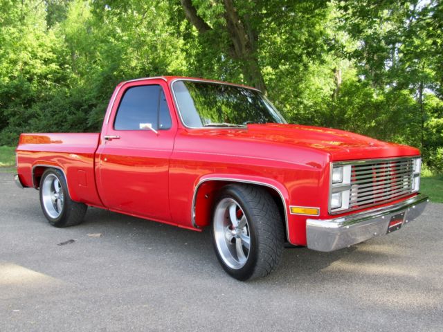 1981 Chevrolet C/K Pickup 1500 - photo 4