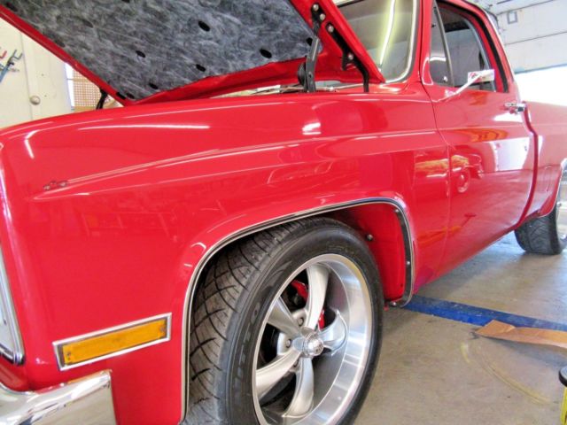 1981 Chevrolet C/K Pickup 1500 - photo 5