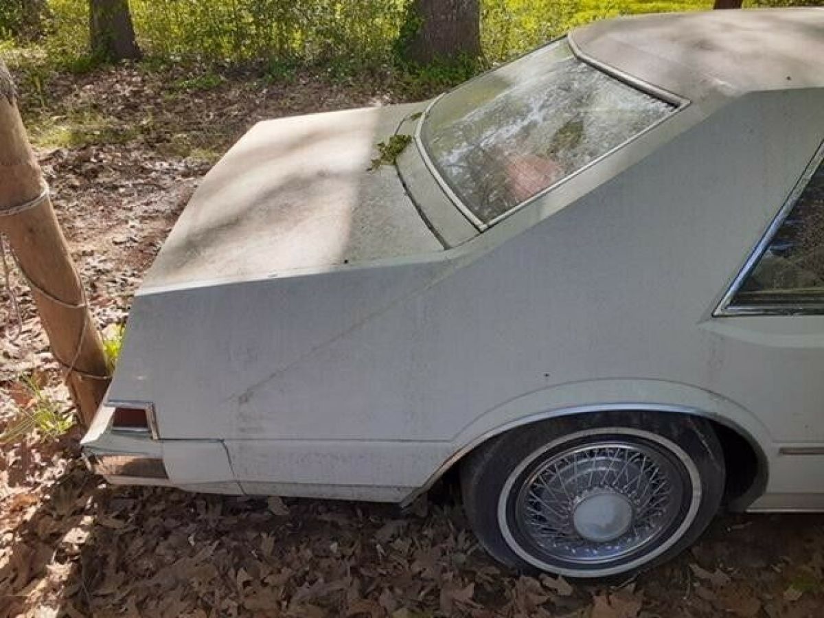 1981 Chrysler Imperial - photo 3