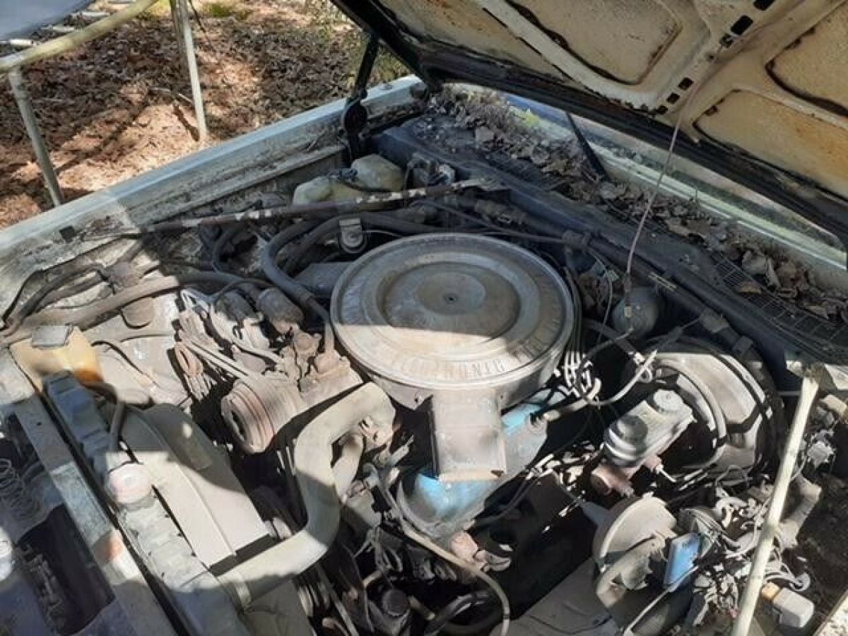 1981 Chrysler Imperial - photo 6