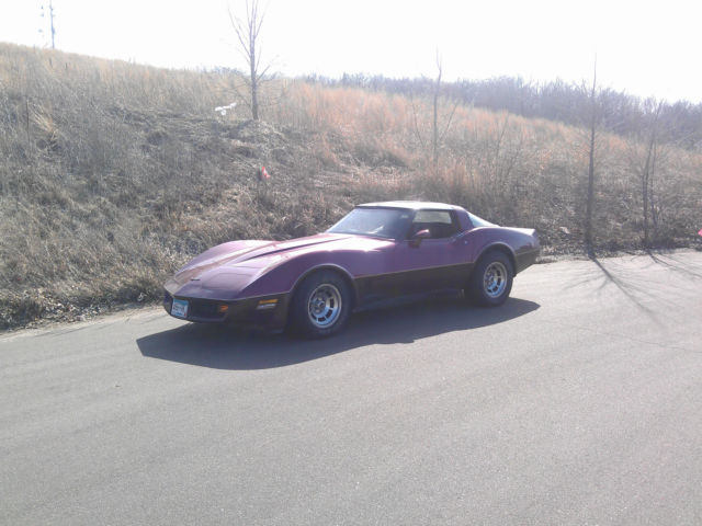 1981 Chevrolet Corvette - photo 5