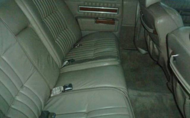 1981 Cadillac SD STANDARD - photo 3