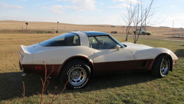 1981 Chevrolet Corvette - photo 12