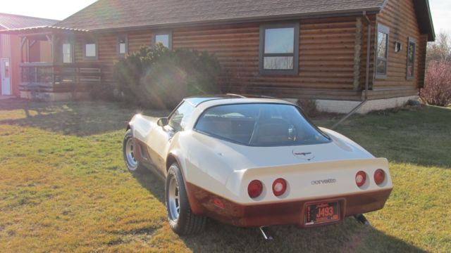 1981 Chevrolet Corvette - photo 3