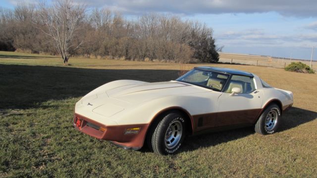 1981 Chevrolet Corvette - photo 7