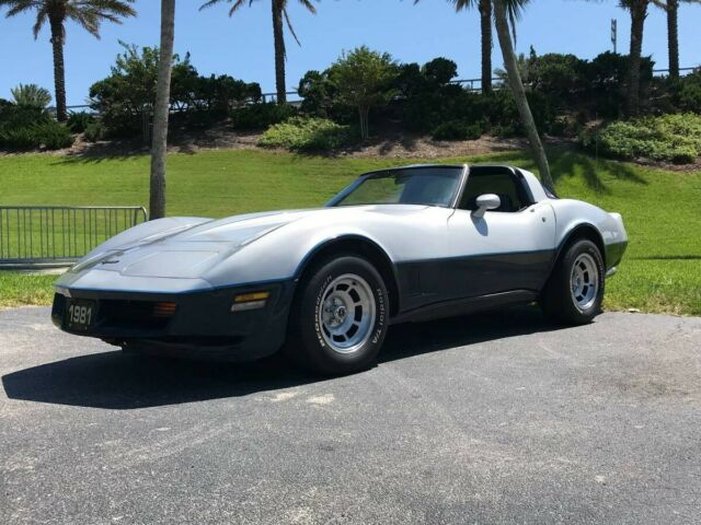 1981 Chevrolet Corvette - photo 6
