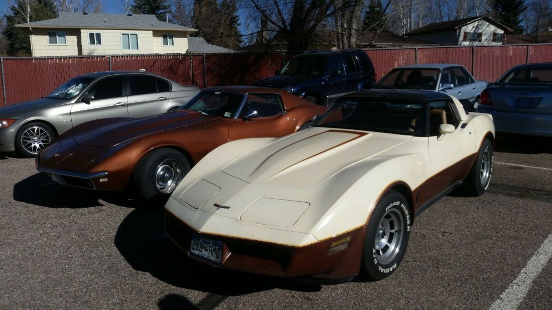 1981 Corvette - 50/74 paint code Frost Beige w/Dark Bronze 98,553 original miles 1981 Chevrolet Corvette