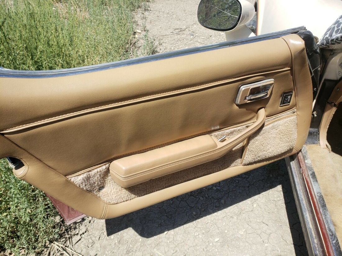 1981 Chevrolet Corvette - photo 12