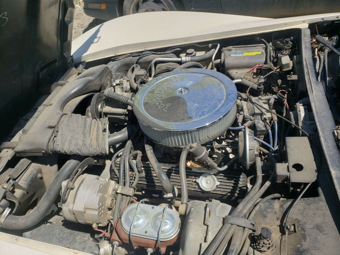 1981 Chevrolet Corvette - photo 6