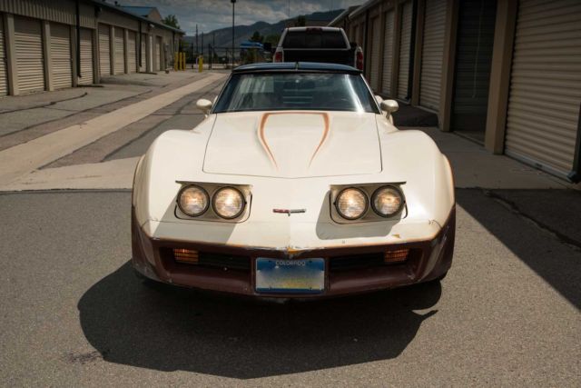 1981 Chevrolet Corvette Tan - photo 6
