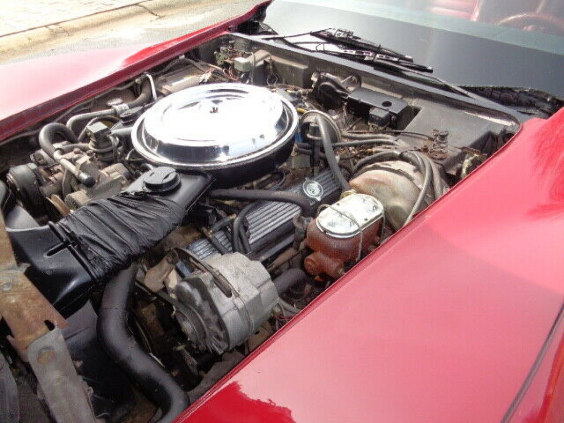 1981 Chevrolet Corvette - photo 13