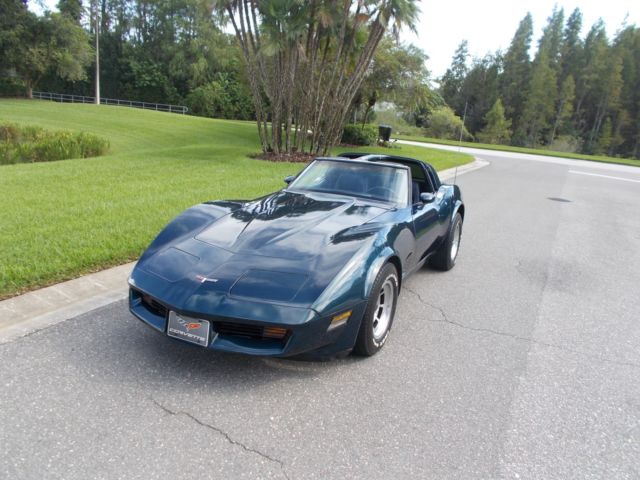 1981 Chevrolet Corvette BLUE - photo 12