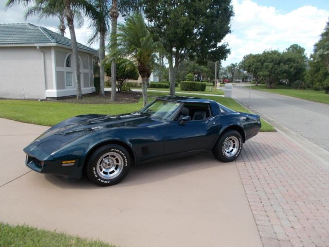 1981 Chevrolet Corvette BLUE - photo 3