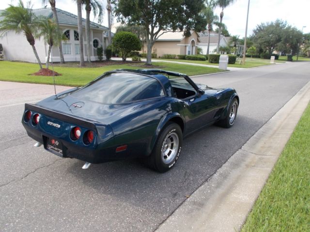 1981 Chevrolet Corvette BLUE - photo 7