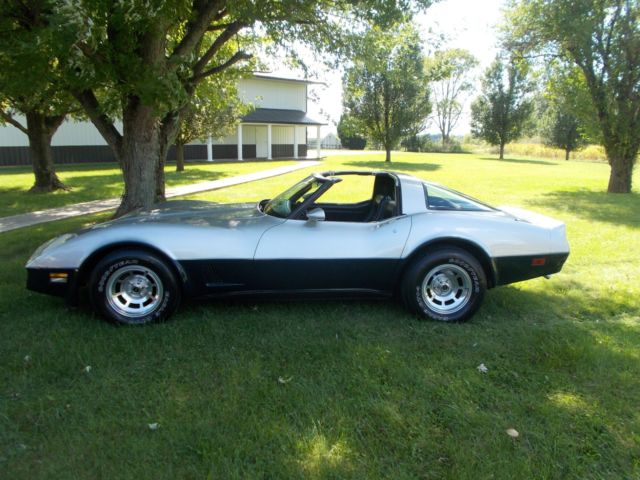 1981 Chevrolet Corvette CORVETTE - photo 10