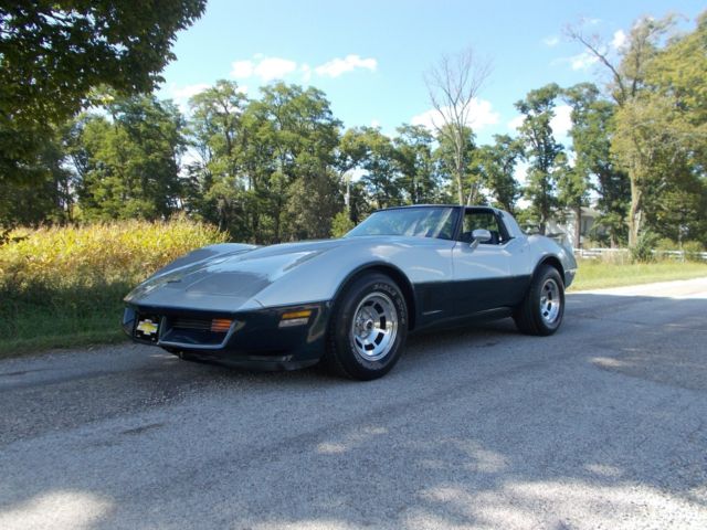 1981 Chevrolet Corvette CORVETTE - photo 12