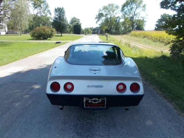 1981 Chevrolet Corvette CORVETTE - photo 7