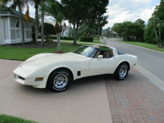 1981 CORVETTE BEAUTIFUL INSIDE AND OUT VERY PRETTY CAR ! RARE COLOR SCHEME 1981 Chevrolet Corvette
