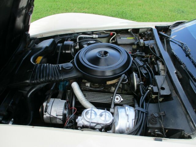 1981 Chevrolet Corvette - photo 10