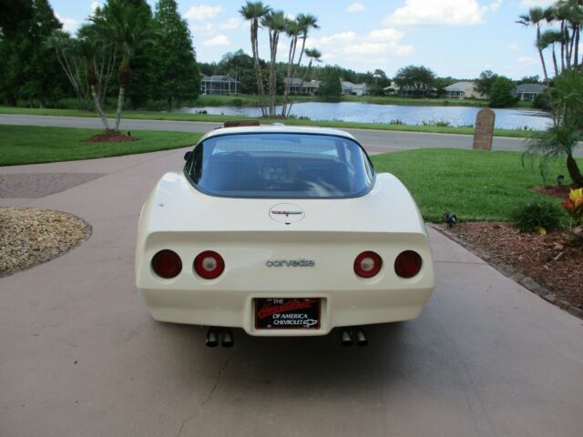 1981 Chevrolet Corvette - photo 5