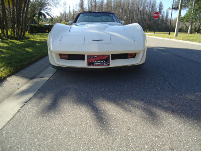 1981 Chevrolet Corvette - photo 12