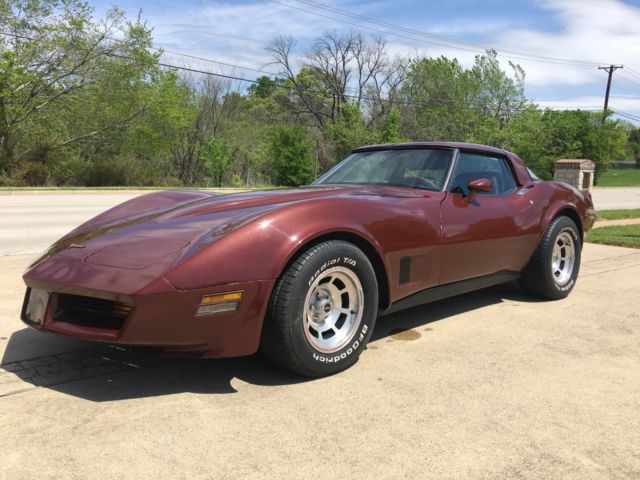 1981 Chevrolet Corvette COUPE - photo 10