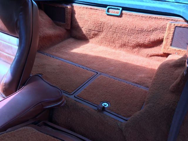 1981 Chevrolet Corvette COUPE - photo 13