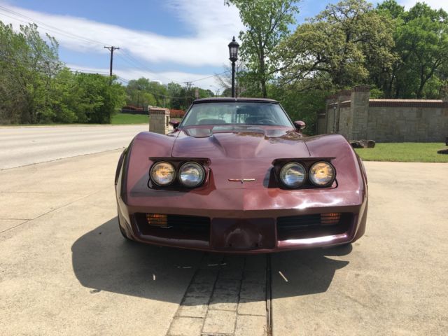 1981 Chevrolet Corvette COUPE - photo 2