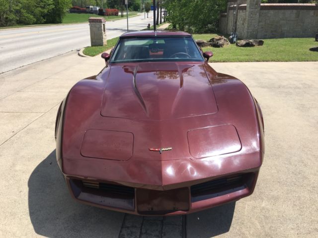 1981 Chevrolet Corvette COUPE - photo 9