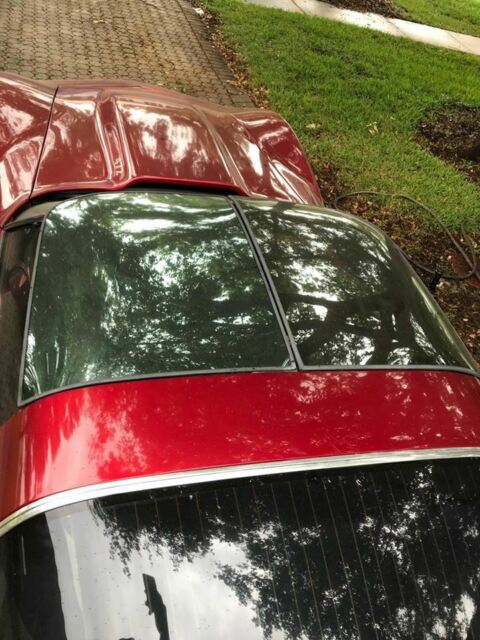 1981 Chevrolet Corvette - photo 5