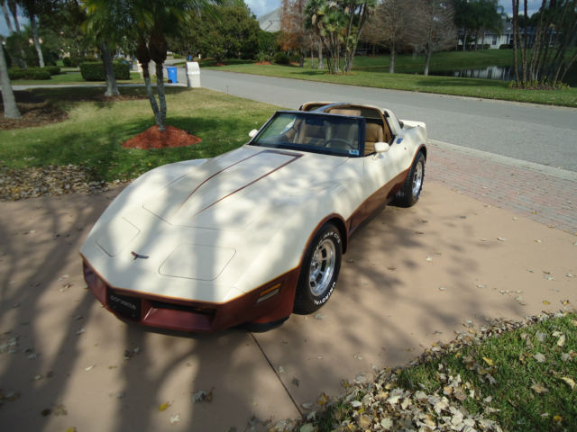 1981 Chevrolet Corvette - photo 10