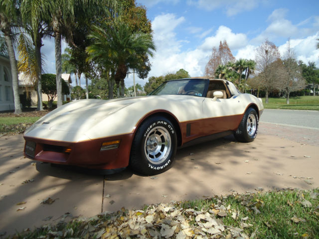 1981 Chevrolet Corvette - photo 2